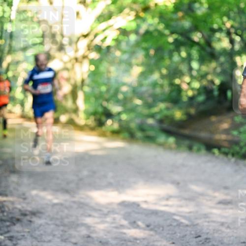 28.09.2025 - 33. Volkslauf durch das schöne Alstertal Dr. Thomas Lammeyer http://msf.ph/oto/8951778 28.09.2025 10:19:15 Laufen  meine-sportfotos.de