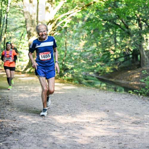28.09.2025 - 33. Volkslauf durch das schöne Alstertal Dr. Thomas Lammeyer http://msf.ph/oto/8951781 28.09.2025 10:19:16 Laufen 1025, 1655 meine-sportfotos.de