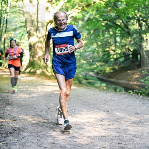 28.09.2025 - 33. Volkslauf durch das schöne Alstertal Dr. Thomas Lammeyer http://msf.ph/oto/8951785 28.09.2025 10:19:16 Laufen 1655 meine-sportfotos.de
