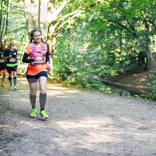 28.09.2025 - 33. Volkslauf durch das schöne Alstertal Dr. Thomas Lammeyer http://msf.ph/oto/8951794 28.09.2025 10:19:18 Laufen 1729, 1128 meine-sportfotos.de