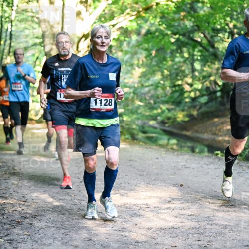 28.09.2025 - 33. Volkslauf durch das schöne Alstertal Dr. Thomas Lammeyer http://msf.ph/oto/8951814 28.09.2025 10:19:21 Laufen 1654, 1128, 85 meine-sportfotos.de