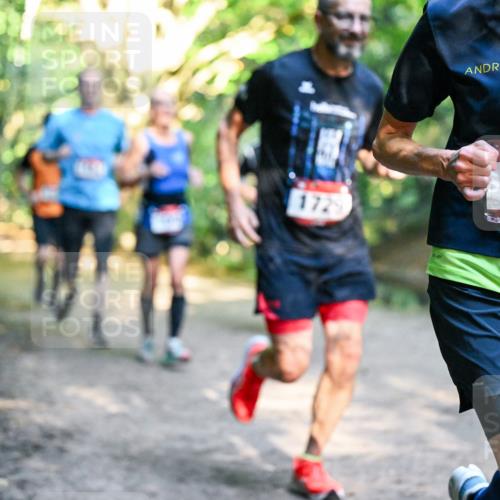 28.09.2025 - 33. Volkslauf durch das schöne Alstertal Dr. Thomas Lammeyer http://msf.ph/oto/8951819 28.09.2025 10:19:22 Laufen 1729, 1128 meine-sportfotos.de