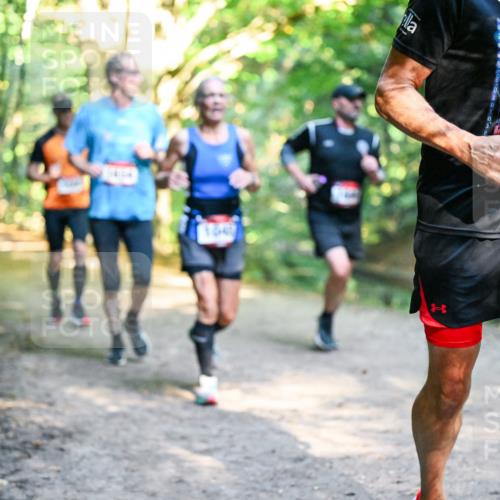 28.09.2025 - 33. Volkslauf durch das schöne Alstertal Dr. Thomas Lammeyer http://msf.ph/oto/8951821 28.09.2025 10:19:23 Laufen 29 meine-sportfotos.de