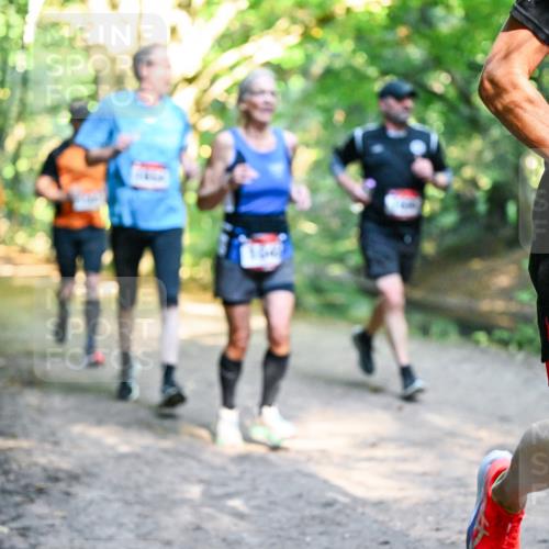 28.09.2025 - 33. Volkslauf durch das schöne Alstertal Dr. Thomas Lammeyer http://msf.ph/oto/8951822 28.09.2025 10:19:23 Laufen 17 meine-sportfotos.de