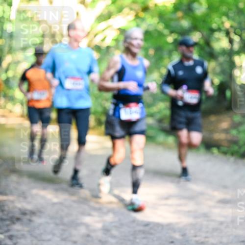28.09.2025 - 33. Volkslauf durch das schöne Alstertal Dr. Thomas Lammeyer http://msf.ph/oto/8951823 28.09.2025 10:19:23 Laufen  meine-sportfotos.de