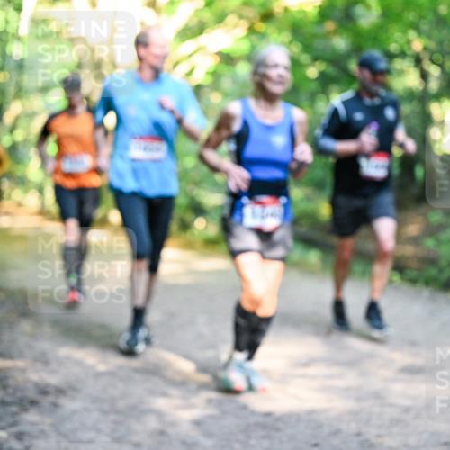 28.09.2025 - 33. Volkslauf durch das schöne Alstertal Dr. Thomas Lammeyer http://msf.ph/oto/8951824 28.09.2025 10:19:23 Laufen  meine-sportfotos.de