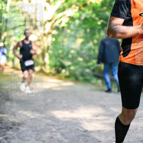28.09.2025 - 33. Volkslauf durch das schöne Alstertal Dr. Thomas Lammeyer http://msf.ph/oto/8951839 28.09.2025 10:19:26 Laufen 24, 1660 meine-sportfotos.de