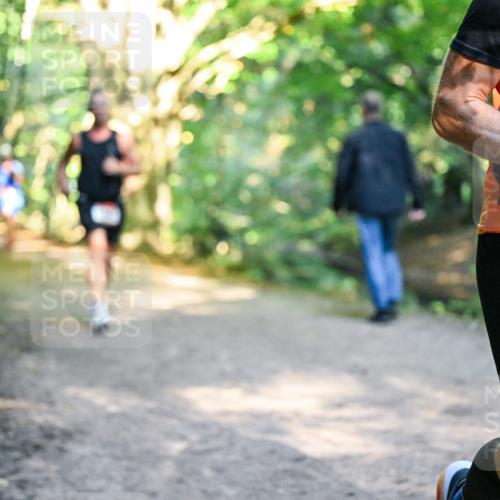 28.09.2025 - 33. Volkslauf durch das schöne Alstertal Dr. Thomas Lammeyer http://msf.ph/oto/8951840 28.09.2025 10:19:26 Laufen  meine-sportfotos.de