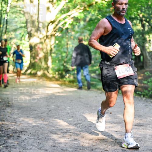28.09.2025 - 33. Volkslauf durch das schöne Alstertal Dr. Thomas Lammeyer http://msf.ph/oto/8951852 28.09.2025 10:19:28 Laufen 1642 meine-sportfotos.de