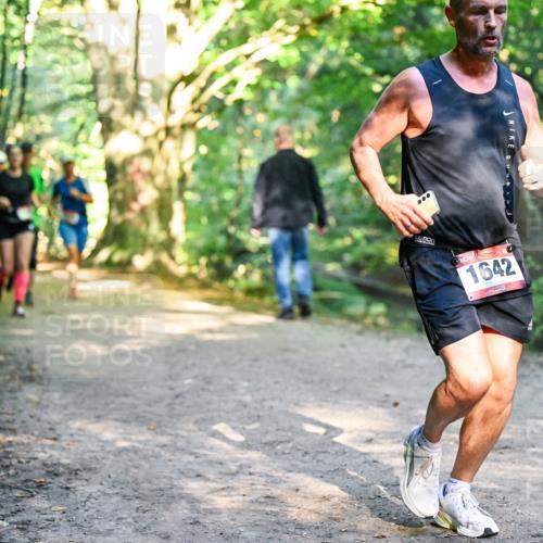 28.09.2025 - 33. Volkslauf durch das schöne Alstertal Dr. Thomas Lammeyer http://msf.ph/oto/8951853 28.09.2025 10:19:28 Laufen 1642 meine-sportfotos.de