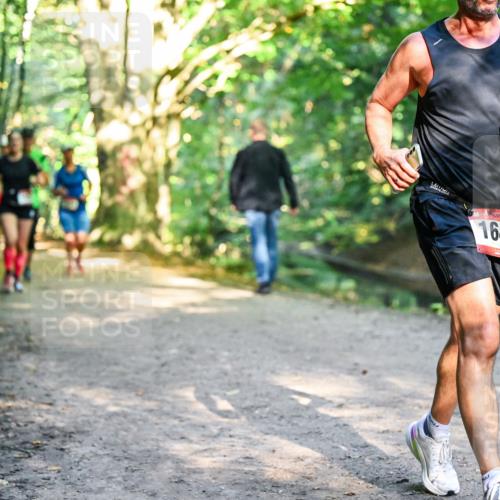 28.09.2025 - 33. Volkslauf durch das schöne Alstertal Dr. Thomas Lammeyer http://msf.ph/oto/8951854 28.09.2025 10:19:28 Laufen 1642 meine-sportfotos.de