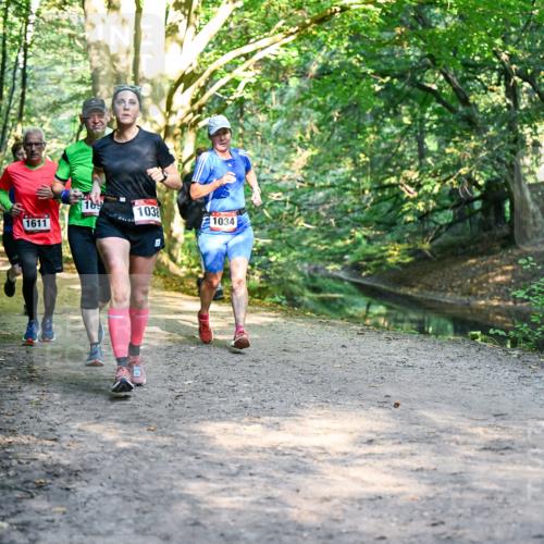 28.09.2025 - 33. Volkslauf durch das schöne Alstertal Dr. Thomas Lammeyer http://msf.ph/oto/8951865 28.09.2025 10:19:30 Laufen 169, 1038, 1611, 1034 meine-sportfotos.de