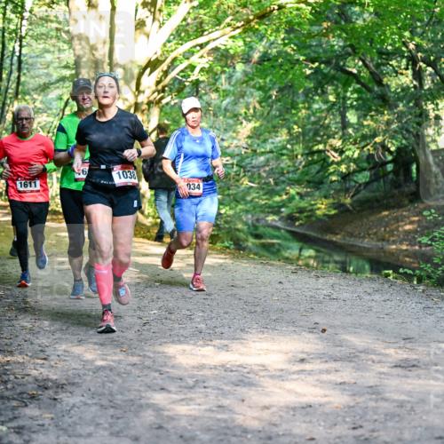 28.09.2025 - 33. Volkslauf durch das schöne Alstertal Dr. Thomas Lammeyer http://msf.ph/oto/8951866 28.09.2025 10:19:30 Laufen 1611, 6, 1038, 034 meine-sportfotos.de
