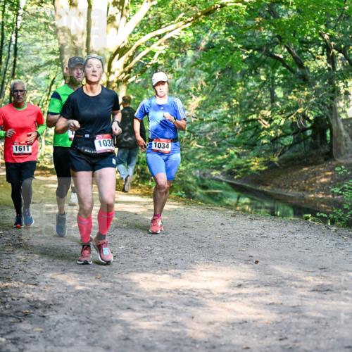 28.09.2025 - 33. Volkslauf durch das schöne Alstertal Dr. Thomas Lammeyer http://msf.ph/oto/8951867 28.09.2025 10:19:31 Laufen 1611, 1038, 1034 meine-sportfotos.de