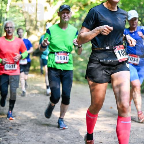 28.09.2025 - 33. Volkslauf durch das schöne Alstertal Dr. Thomas Lammeyer http://msf.ph/oto/8951875 28.09.2025 10:19:32 Laufen 1611, 1691, 103, 1034 meine-sportfotos.de