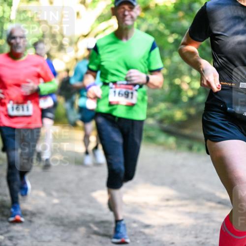 28.09.2025 - 33. Volkslauf durch das schöne Alstertal Dr. Thomas Lammeyer http://msf.ph/oto/8951877 28.09.2025 10:19:32 Laufen 1691, 103 meine-sportfotos.de