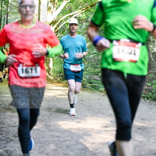 28.09.2025 - 33. Volkslauf durch das schöne Alstertal Dr. Thomas Lammeyer http://msf.ph/oto/8951879 28.09.2025 10:19:33 Laufen 1611, 1704, 1691 meine-sportfotos.de