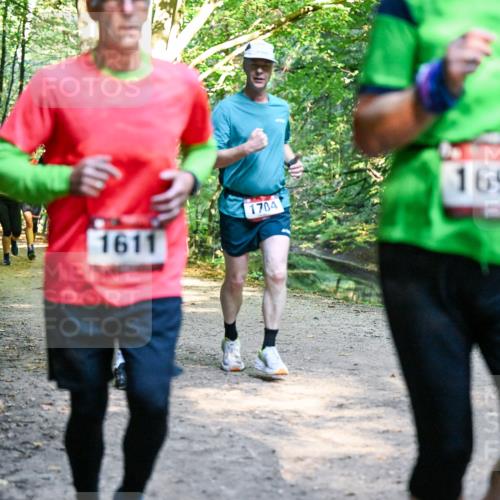 28.09.2025 - 33. Volkslauf durch das schöne Alstertal Dr. Thomas Lammeyer http://msf.ph/oto/8951880 28.09.2025 10:19:33 Laufen 1611, 1704, 1691 meine-sportfotos.de