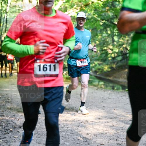 28.09.2025 - 33. Volkslauf durch das schöne Alstertal Dr. Thomas Lammeyer http://msf.ph/oto/8951881 28.09.2025 10:19:33 Laufen 1611, 1704, 1691 meine-sportfotos.de