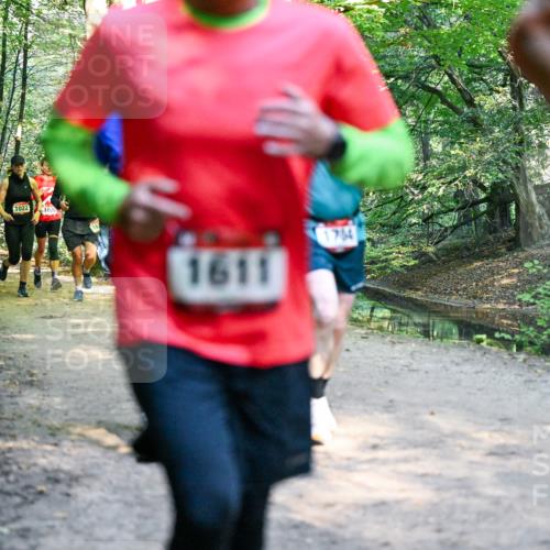 28.09.2025 - 33. Volkslauf durch das schöne Alstertal Dr. Thomas Lammeyer http://msf.ph/oto/8951882 28.09.2025 10:19:33 Laufen 1022, 1020, 1611, 1704 meine-sportfotos.de