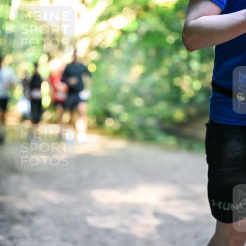 28.09.2025 - 33. Volkslauf durch das schöne Alstertal Dr. Thomas Lammeyer http://msf.ph/oto/8951893 28.09.2025 10:19:35 Laufen 1705 meine-sportfotos.de