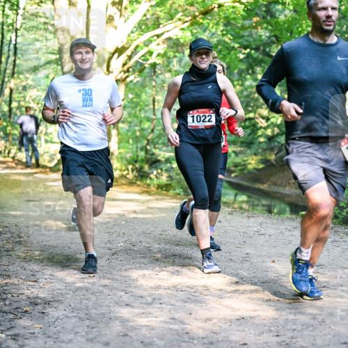 28.09.2025 - 33. Volkslauf durch das schöne Alstertal Dr. Thomas Lammeyer http://msf.ph/oto/8951907 28.09.2025 10:19:38 Laufen 30, 2024, 1022, 16 meine-sportfotos.de
