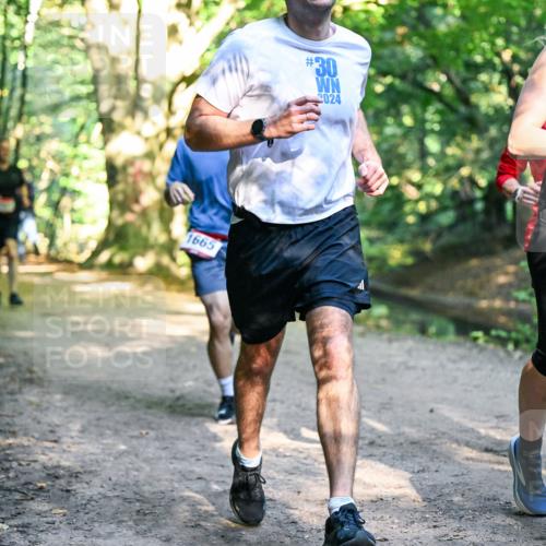 28.09.2025 - 33. Volkslauf durch das schöne Alstertal Dr. Thomas Lammeyer http://msf.ph/oto/8951915 28.09.2025 10:19:39 Laufen 1665, 30, 2024, 1022 meine-sportfotos.de