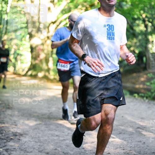 28.09.2025 - 33. Volkslauf durch das schöne Alstertal Dr. Thomas Lammeyer http://msf.ph/oto/8951916 28.09.2025 10:19:39 Laufen 1665, 30, 2024 meine-sportfotos.de