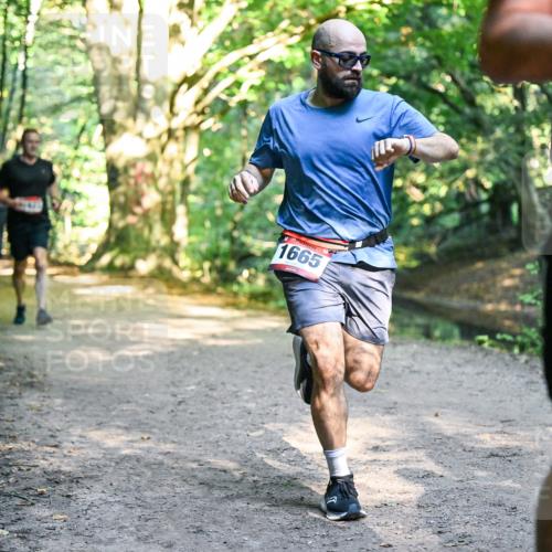 28.09.2025 - 33. Volkslauf durch das schöne Alstertal Dr. Thomas Lammeyer http://msf.ph/oto/8951918 28.09.2025 10:19:40 Laufen 1665 meine-sportfotos.de
