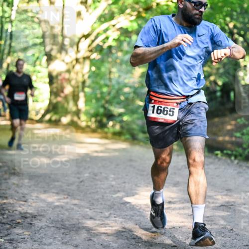 28.09.2025 - 33. Volkslauf durch das schöne Alstertal Dr. Thomas Lammeyer http://msf.ph/oto/8951920 28.09.2025 10:19:40 Laufen 1665 meine-sportfotos.de