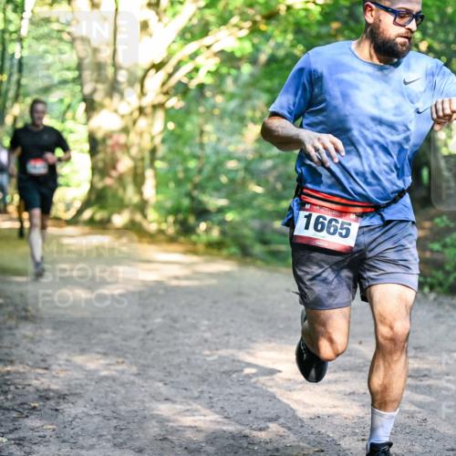28.09.2025 - 33. Volkslauf durch das schöne Alstertal Dr. Thomas Lammeyer http://msf.ph/oto/8951921 28.09.2025 10:19:40 Laufen 1665 meine-sportfotos.de