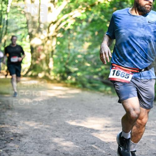 28.09.2025 - 33. Volkslauf durch das schöne Alstertal Dr. Thomas Lammeyer http://msf.ph/oto/8951922 28.09.2025 10:19:40 Laufen 1665 meine-sportfotos.de