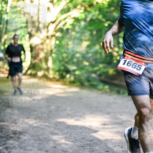 28.09.2025 - 33. Volkslauf durch das schöne Alstertal Dr. Thomas Lammeyer http://msf.ph/oto/8951923 28.09.2025 10:19:40 Laufen 1665 meine-sportfotos.de