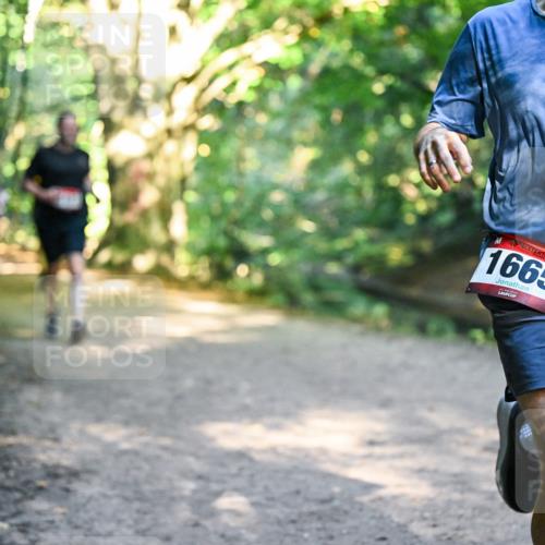 28.09.2025 - 33. Volkslauf durch das schöne Alstertal Dr. Thomas Lammeyer http://msf.ph/oto/8951924 28.09.2025 10:19:40 Laufen 1665 meine-sportfotos.de