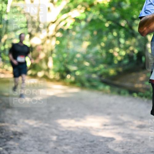 28.09.2025 - 33. Volkslauf durch das schöne Alstertal Dr. Thomas Lammeyer http://msf.ph/oto/8951925 28.09.2025 10:19:40 Laufen 1665 meine-sportfotos.de