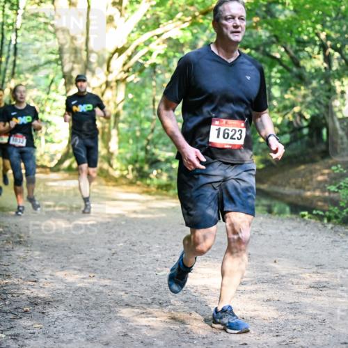 28.09.2025 - 33. Volkslauf durch das schöne Alstertal Dr. Thomas Lammeyer http://msf.ph/oto/8951935 28.09.2025 10:19:43 Laufen 1832, 1623 meine-sportfotos.de