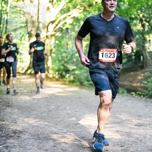 28.09.2025 - 33. Volkslauf durch das schöne Alstertal Dr. Thomas Lammeyer http://msf.ph/oto/8951936 28.09.2025 10:19:43 Laufen 1623 meine-sportfotos.de