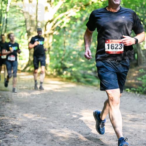 28.09.2025 - 33. Volkslauf durch das schöne Alstertal Dr. Thomas Lammeyer http://msf.ph/oto/8951937 28.09.2025 10:19:43 Laufen 1623 meine-sportfotos.de