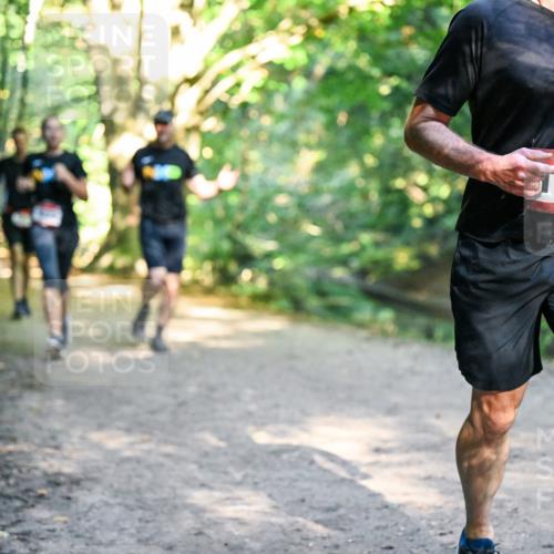 28.09.2025 - 33. Volkslauf durch das schöne Alstertal Dr. Thomas Lammeyer http://msf.ph/oto/8951939 28.09.2025 10:19:43 Laufen 1623 meine-sportfotos.de