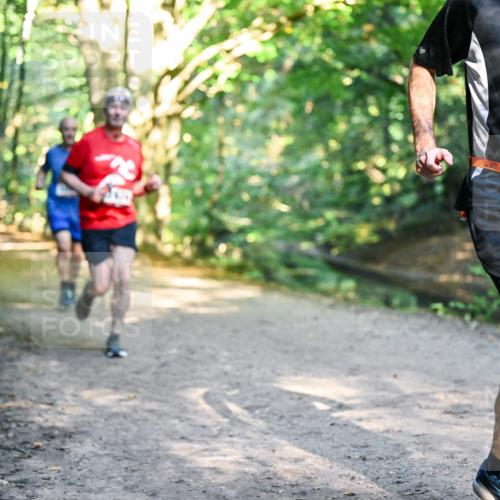 28.09.2025 - 33. Volkslauf durch das schöne Alstertal Dr. Thomas Lammeyer http://msf.ph/oto/8951961 28.09.2025 10:19:48 Laufen 1812 meine-sportfotos.de