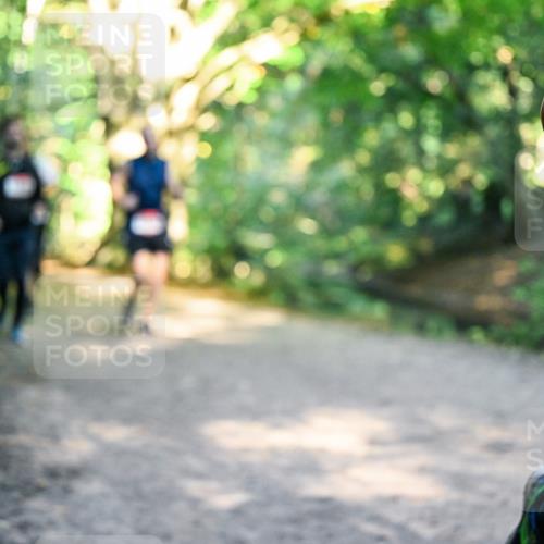 28.09.2025 - 33. Volkslauf durch das schöne Alstertal Dr. Thomas Lammeyer http://msf.ph/oto/8951982 28.09.2025 10:19:51 Laufen  meine-sportfotos.de