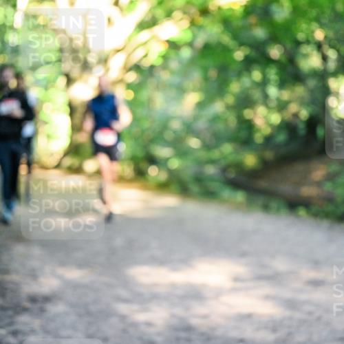 28.09.2025 - 33. Volkslauf durch das schöne Alstertal Dr. Thomas Lammeyer http://msf.ph/oto/8951984 28.09.2025 10:19:51 Laufen  meine-sportfotos.de