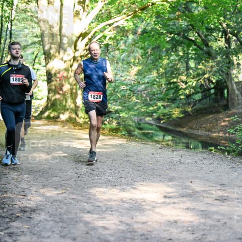 28.09.2025 - 33. Volkslauf durch das schöne Alstertal Dr. Thomas Lammeyer http://msf.ph/oto/8951985 28.09.2025 10:19:52 Laufen 1134, 1809, 1828 meine-sportfotos.de