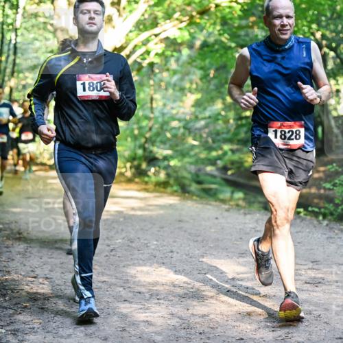 28.09.2025 - 33. Volkslauf durch das schöne Alstertal Dr. Thomas Lammeyer http://msf.ph/oto/8951996 28.09.2025 10:19:53 Laufen 180, 1828 meine-sportfotos.de