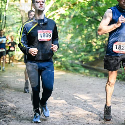 28.09.2025 - 33. Volkslauf durch das schöne Alstertal Dr. Thomas Lammeyer http://msf.ph/oto/8951998 28.09.2025 10:19:54 Laufen 1809, 1828 meine-sportfotos.de