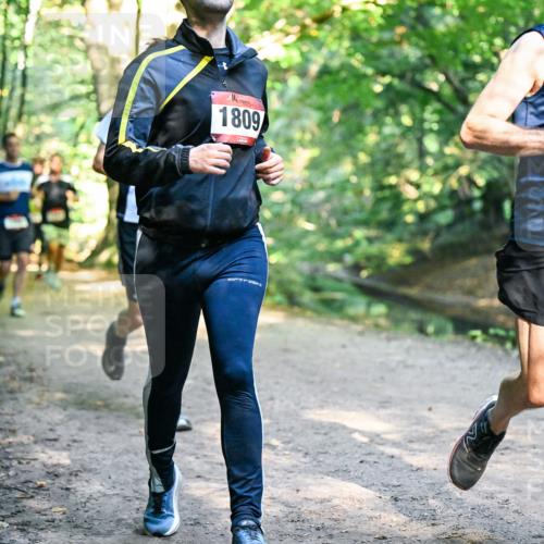 28.09.2025 - 33. Volkslauf durch das schöne Alstertal Dr. Thomas Lammeyer http://msf.ph/oto/8951999 28.09.2025 10:19:54 Laufen 1809, 1828 meine-sportfotos.de