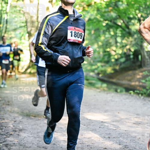 28.09.2025 - 33. Volkslauf durch das schöne Alstertal Dr. Thomas Lammeyer http://msf.ph/oto/8952000 28.09.2025 10:19:54 Laufen 1809, 1828 meine-sportfotos.de