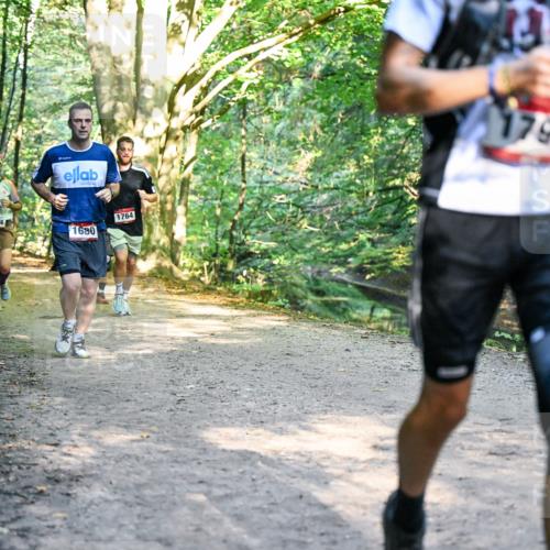 28.09.2025 - 33. Volkslauf durch das schöne Alstertal Dr. Thomas Lammeyer http://msf.ph/oto/8952007 28.09.2025 10:19:55 Laufen 1134, 1680, 1764, 1789 meine-sportfotos.de