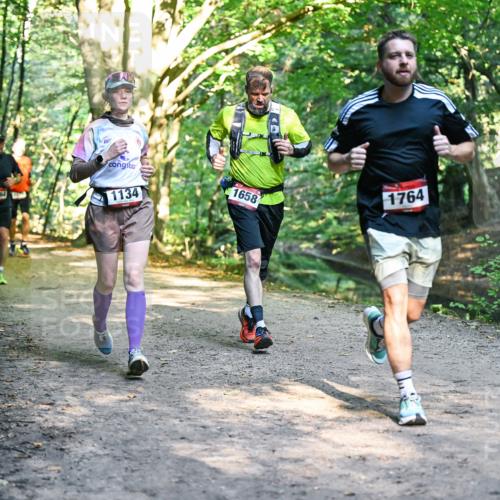 28.09.2025 - 33. Volkslauf durch das schöne Alstertal Dr. Thomas Lammeyer http://msf.ph/oto/8952028 28.09.2025 10:19:59 Laufen 1664, 1134, 1658, 1764 meine-sportfotos.de