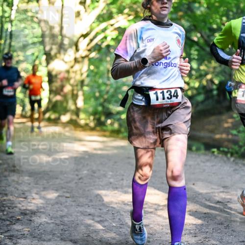 28.09.2025 - 33. Volkslauf durch das schöne Alstertal Dr. Thomas Lammeyer http://msf.ph/oto/8952039 28.09.2025 10:20:00 Laufen 1134, 1658 meine-sportfotos.de